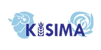 Logo 6